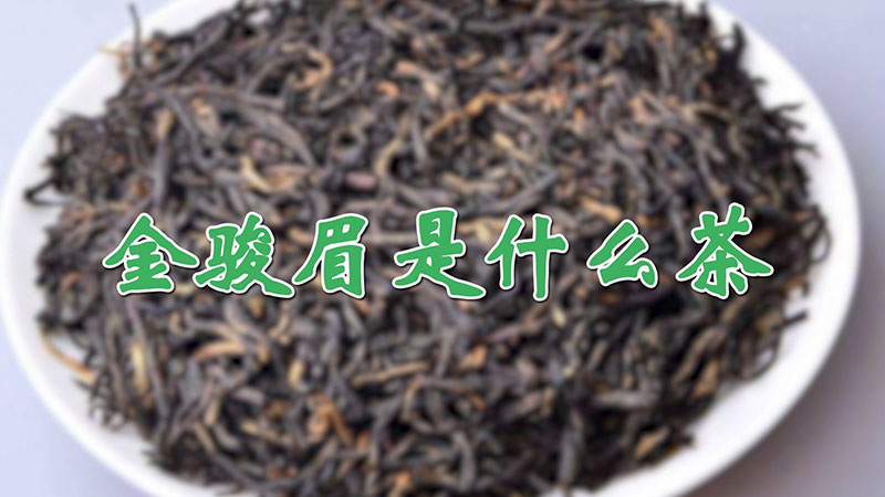 金駿眉是什麼茶