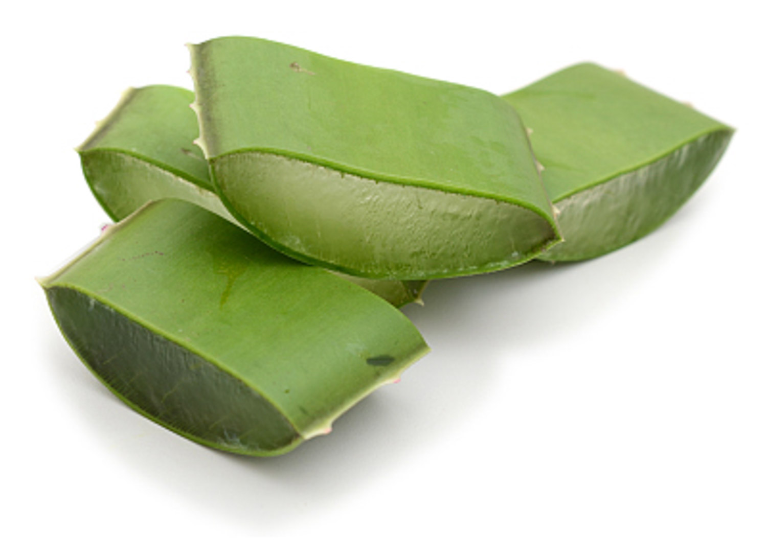 蘆薈 蘆薈葉子發黃怎麼解決,怎麼處理