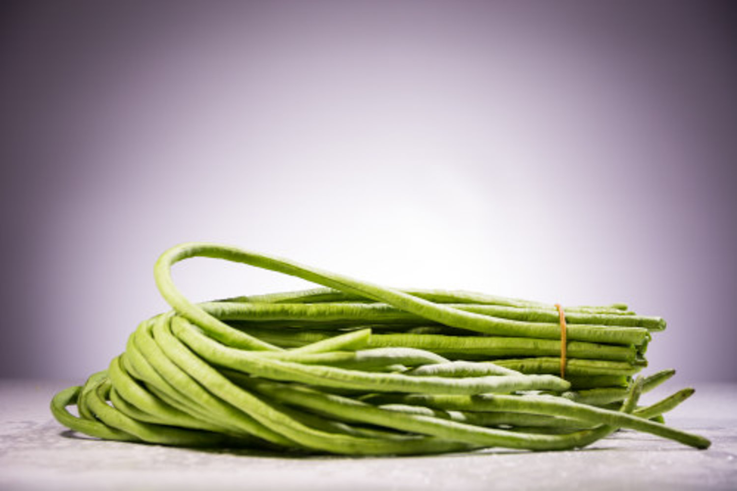 秋葵 秋葵葉子有黑斑怎麼解決,怎麼處理,秋葵葉子有黑斑咋回事