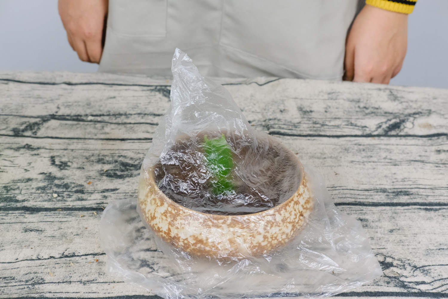 蟹爪蘭 蟹腳蘭為什麼不開花
