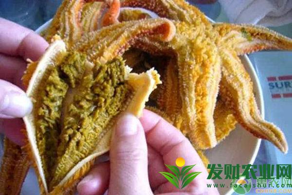 吃海星可以壯陽嗎？海星的功效作用及食用方法
