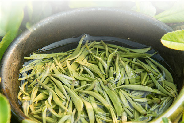 碧螺春是什麼茶
