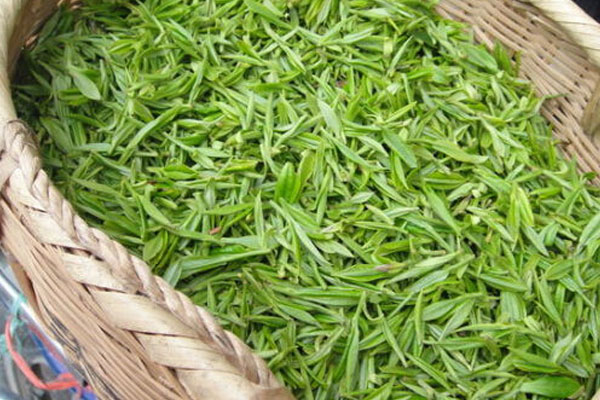 海南產什麼茶葉