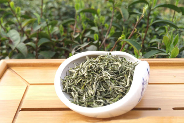 海南產什麼茶葉