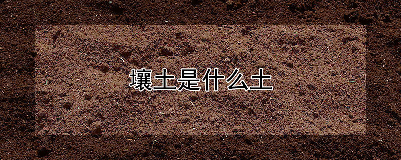 壤土是什麼土
