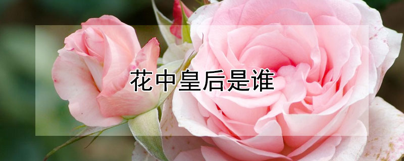 花中皇後是誰