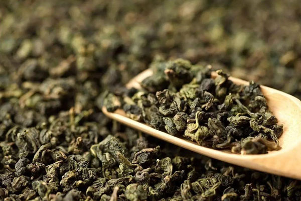 烏龍茶是什麼茶