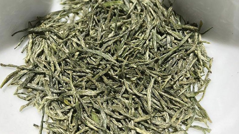 信陽毛尖是什麼茶