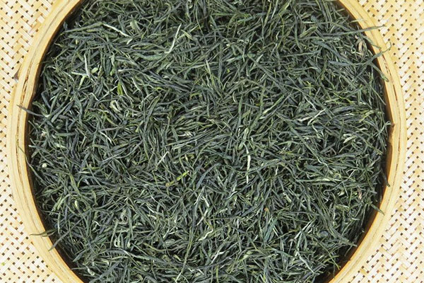 信陽毛尖是什麼茶
