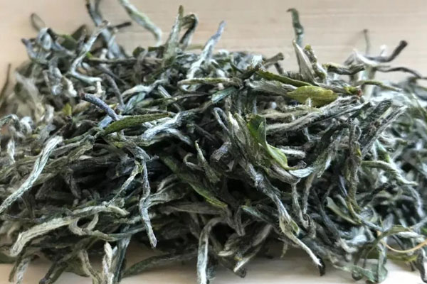 信陽毛尖是什麼茶