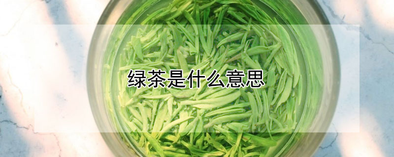 綠茶是什麼意思