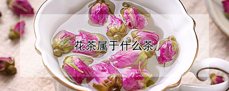 花茶屬於什麼茶