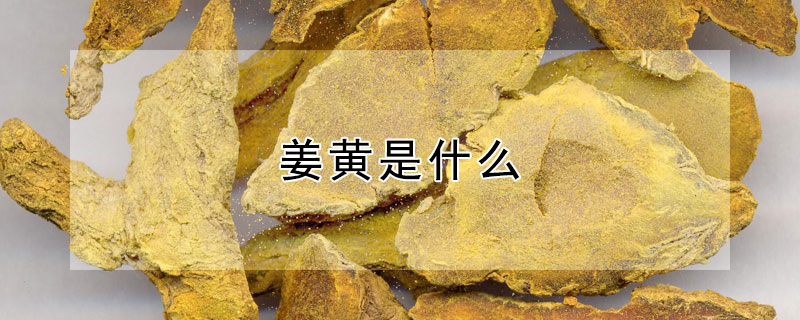 薑黃是什麼
