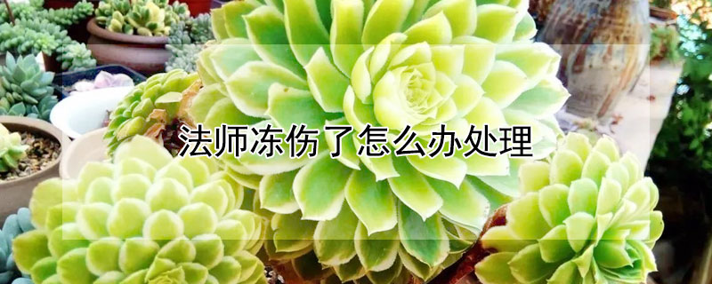 法師凍傷了怎麼辦處理