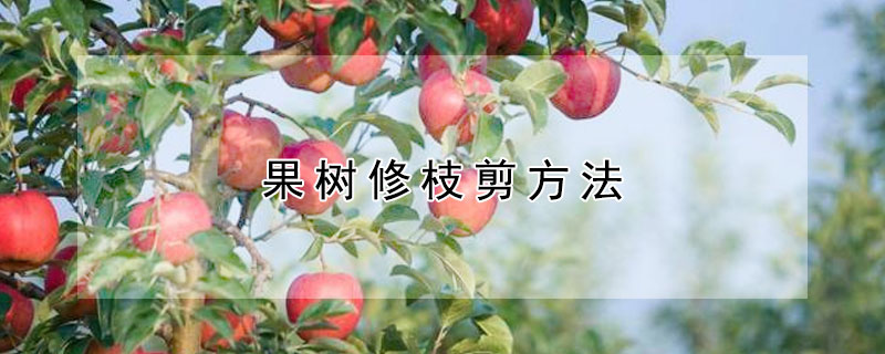 果樹修枝剪方法