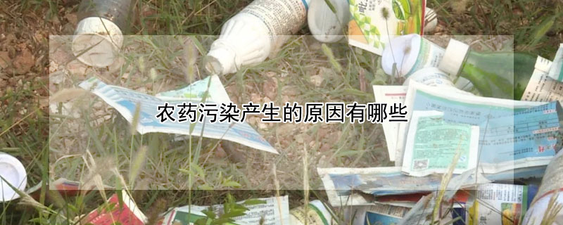 農藥汙染產生的原因有哪些