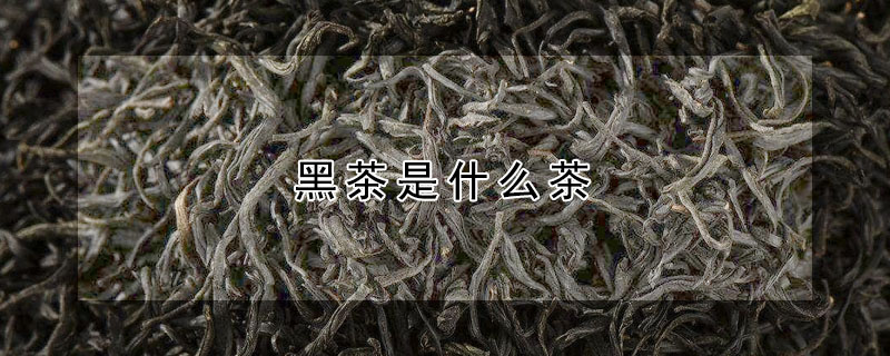 黑茶是什麼茶