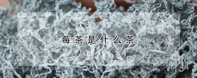 莓茶是什麼茶
