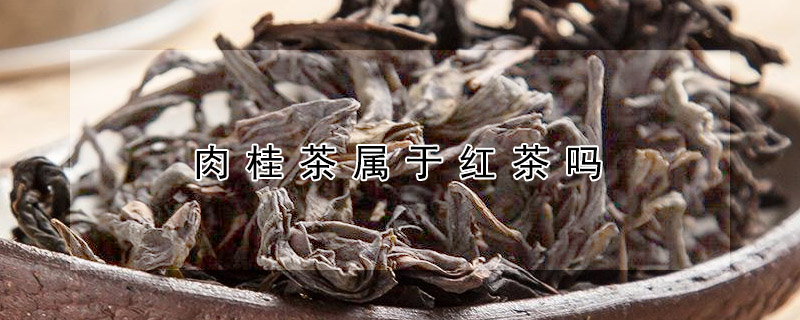 肉桂茶屬於紅茶嗎