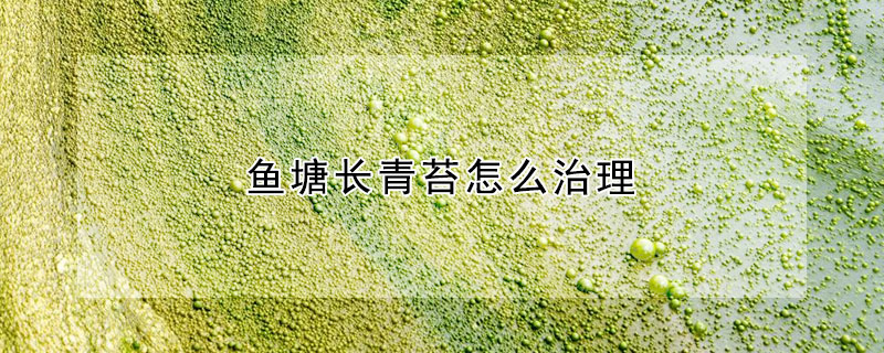 魚塘長青苔怎麼治理