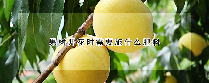 果樹開花時需要施什麼肥料