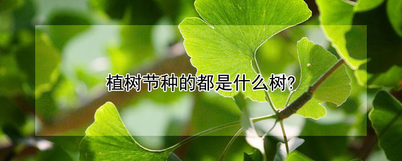 植樹節種的都是什麼樹?