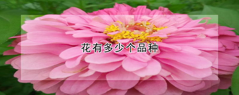 花有多少個品種