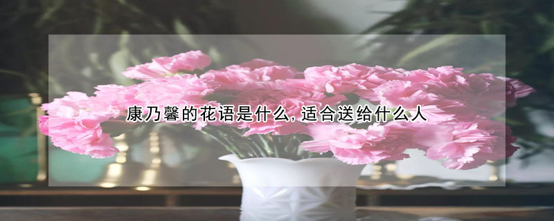 康乃馨的花語是什麼,適合送給什麼人