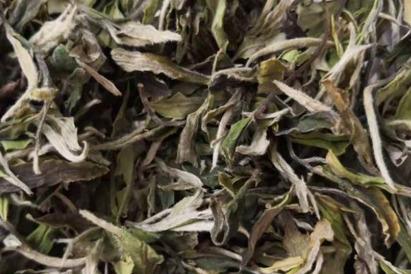 白牡丹和壽眉有什麼區別 白牡丹與壽眉的區別