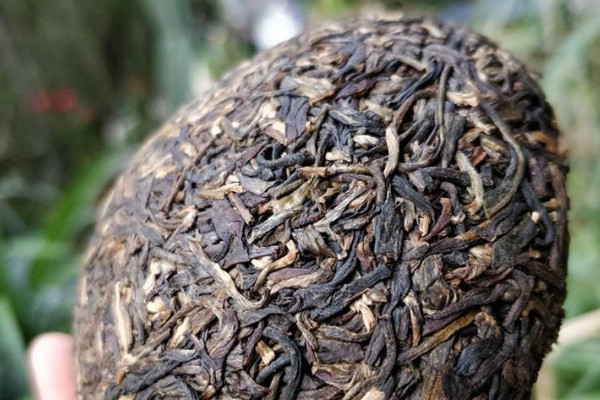 沱茶屬於什麼茶,什麼是沱茶