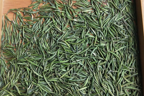 湄潭翠芽屬於什麼茶,湄潭翠芽是不是綠茶