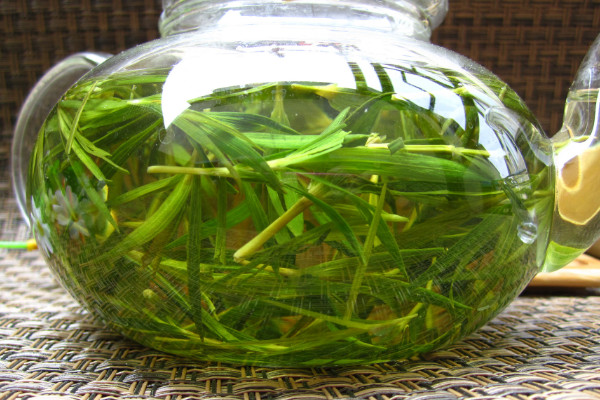 竹葉茶是什麼茶,竹葉茶是綠茶嗎