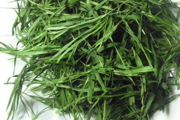 竹葉茶是什麼茶,竹葉茶是綠茶嗎