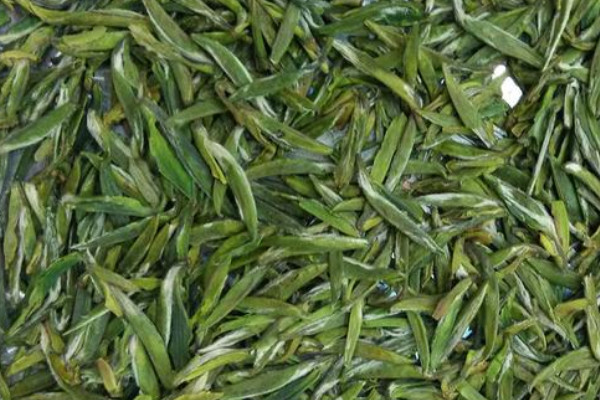 漢中仙毫是紅茶還是綠茶,漢中仙毫屬於什麼茶