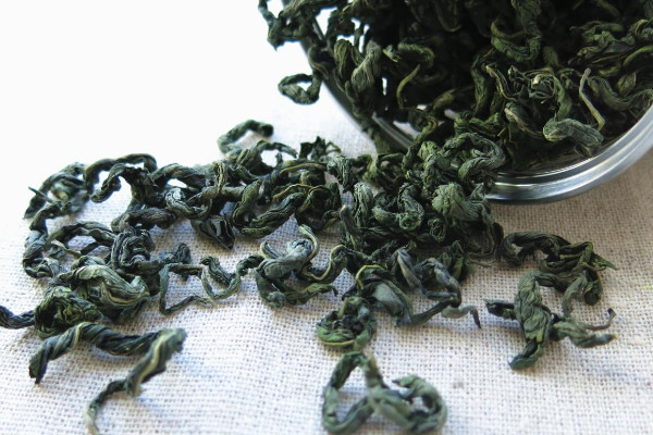 刺五加茶是什麼茶,刺五加茶屬於哪種茶