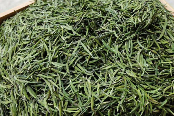 古丈毛尖是什麼茶,古丈毛尖屬於哪種茶