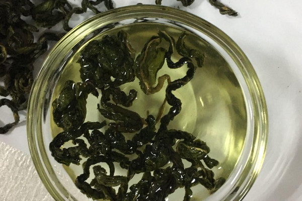 刺五加茶是什麼茶,刺五加茶屬於哪種茶