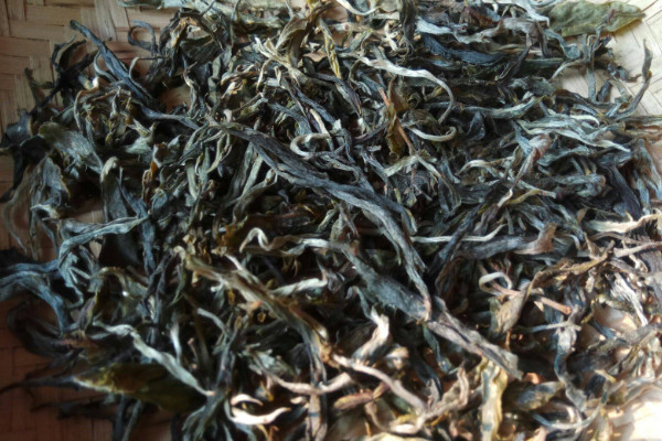 老班章普洱茶是生普還是熟普,古樹班章是哪種普洱