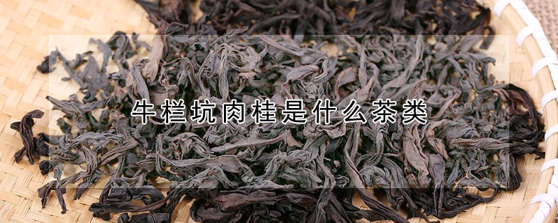 牛欄坑肉桂是什麼茶類
