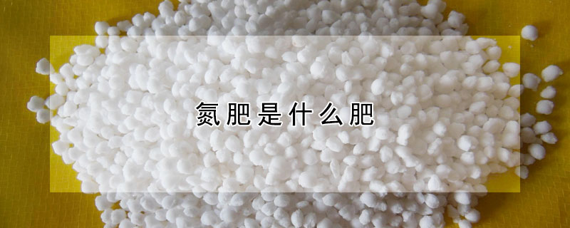 氮肥是什麼肥