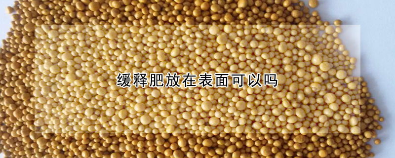 緩釋肥放在表麵可以嗎