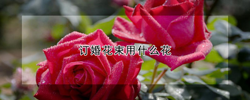 訂婚花束用什麼花