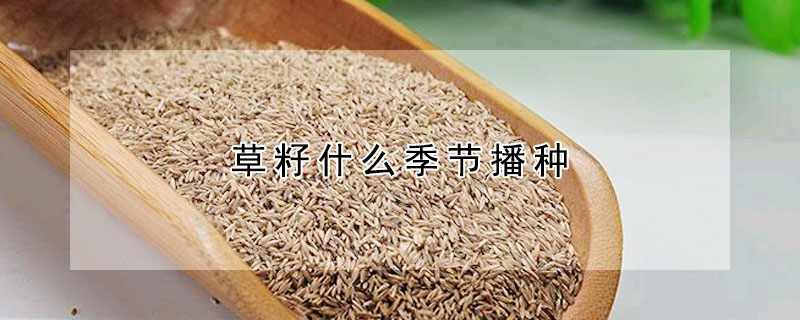 草籽什麼季節播種
