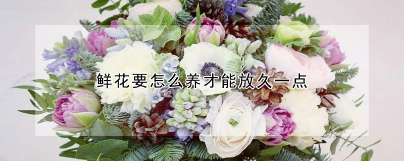 鮮花要怎麼養才能放久一點