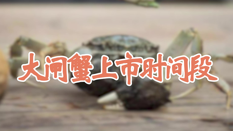 大閘蟹上市時間段