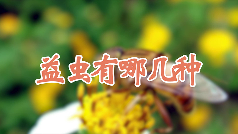 益蟲有哪幾種