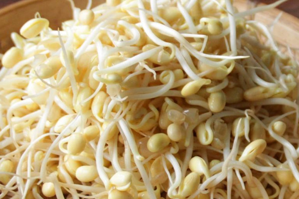 黃豆芽怎麼發