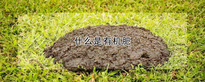 什麼是有機肥