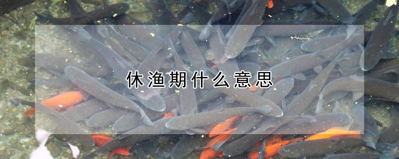 休漁期什麼意思