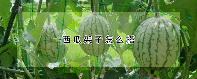 西瓜架子怎麼搭